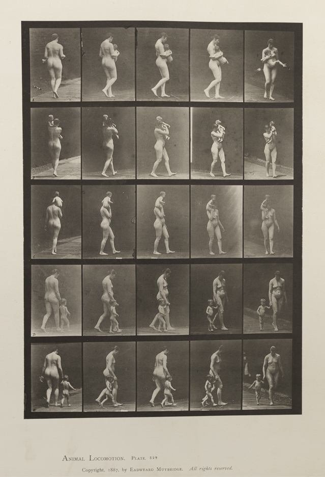 Animal Locomotion, Volume IV, Women (Nude). Plate 528