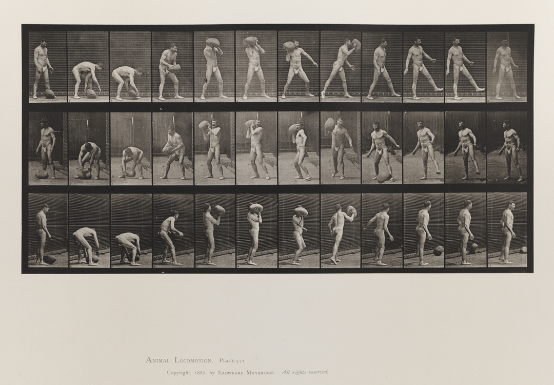 Animal Locomotion, Volume V, Men (Pelvis Cloth). Plate 317