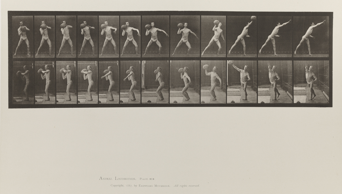 Animal Locomotion, Volume V, Men (Pelvis Cloth). Plate 319