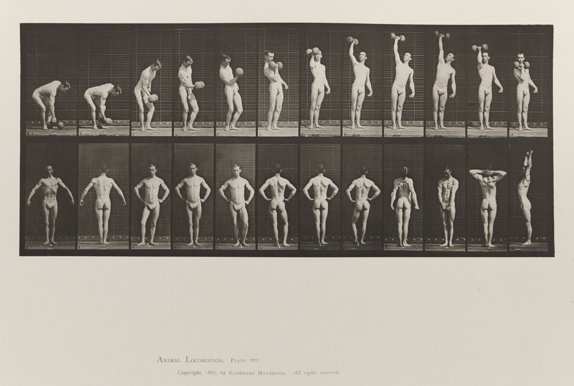 Animal Locomotion, Volume V, Men (Pelvis Cloth). Plate 321