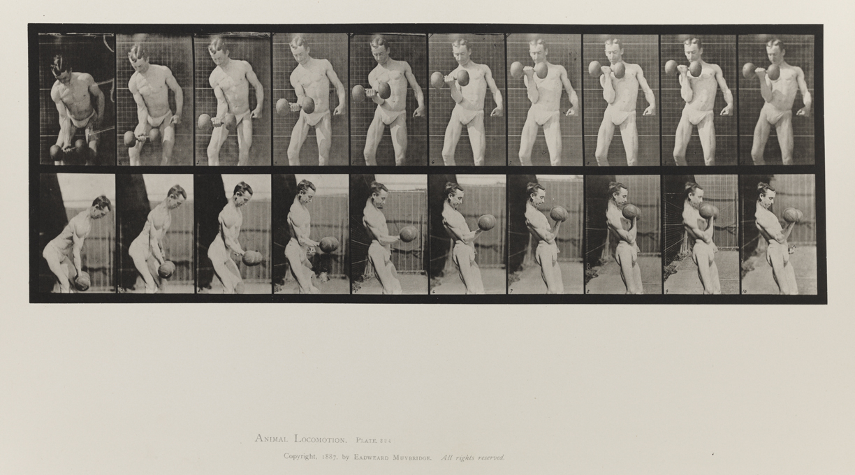 Animal Locomotion, Volume V, Men (Pelvis Cloth). Plate 324