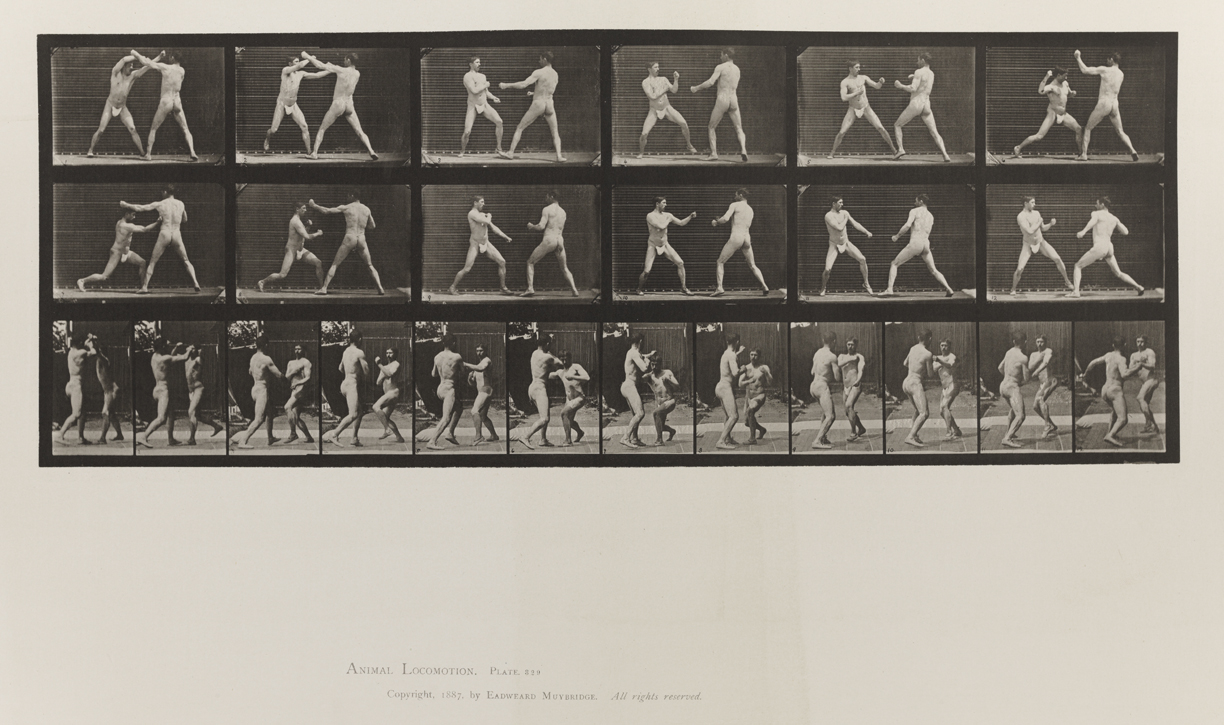 Animal Locomotion, Volume V, Men (Pelvis Cloth). Plate 329