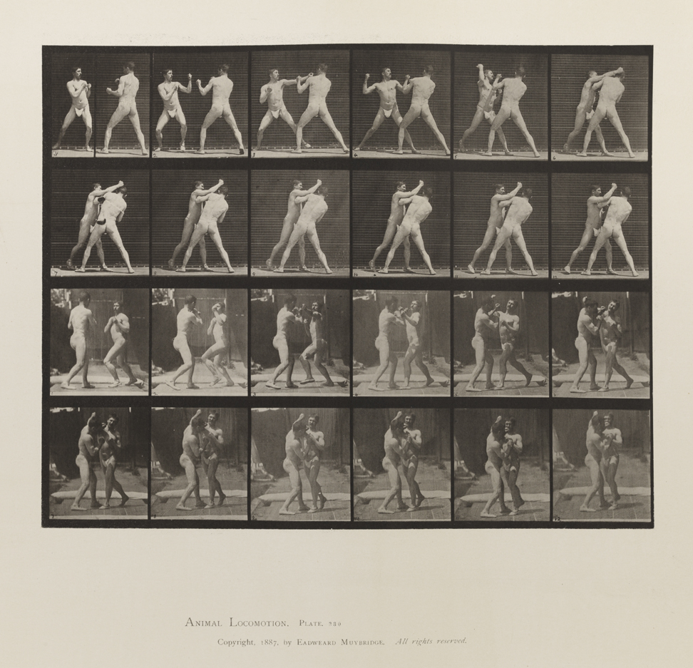 Animal Locomotion, Volume V, Men (Pelvis Cloth). Plate 330
