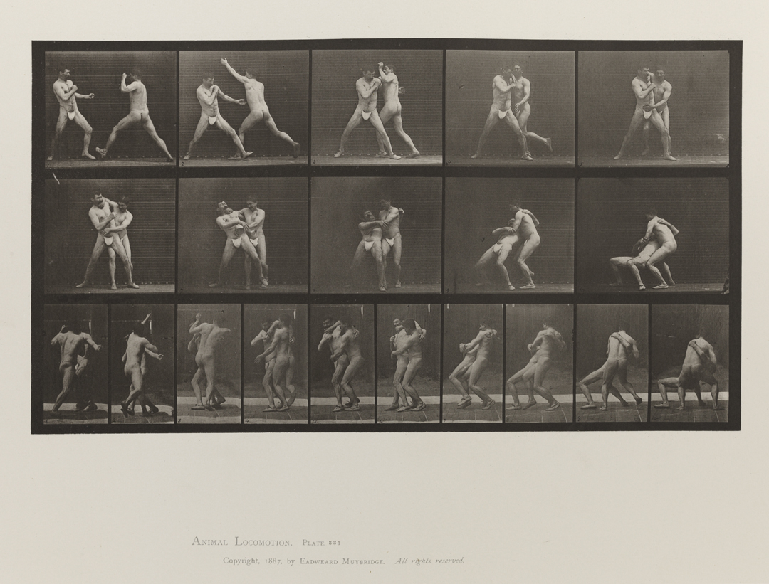 Animal Locomotion, Volume V, Men (Pelvis Cloth). Plate 331