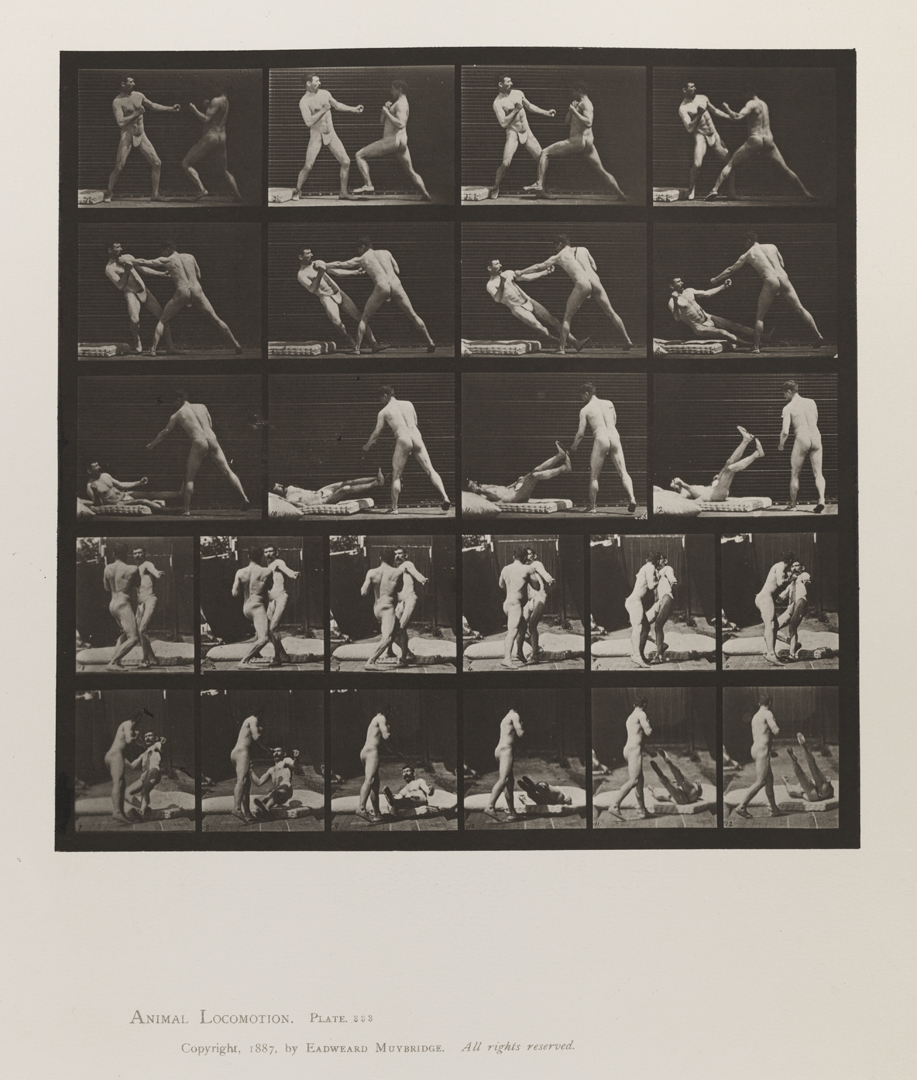 Animal Locomotion, Volume V, Men (Pelvis Cloth). Plate 333