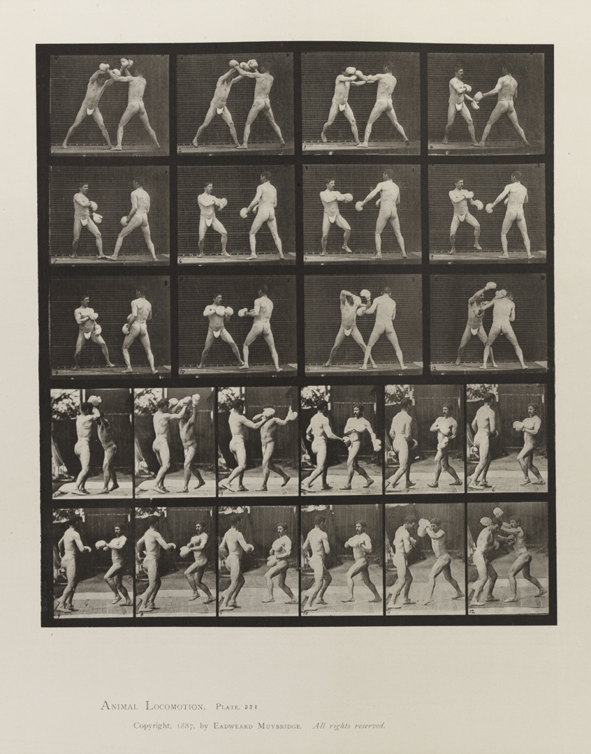 Animal Locomotion, Volume V, Men (Pelvis Cloth). Plate 334