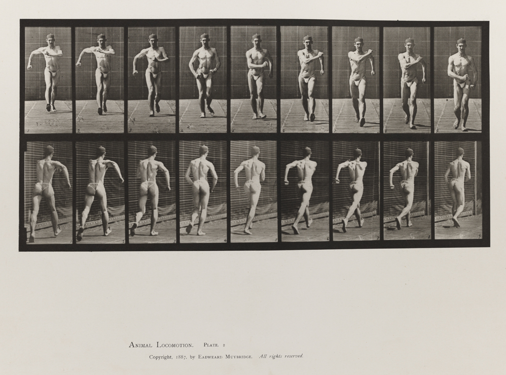 Animal Locomotion, Volume V, Men (Pelvis Cloth). Plate 3