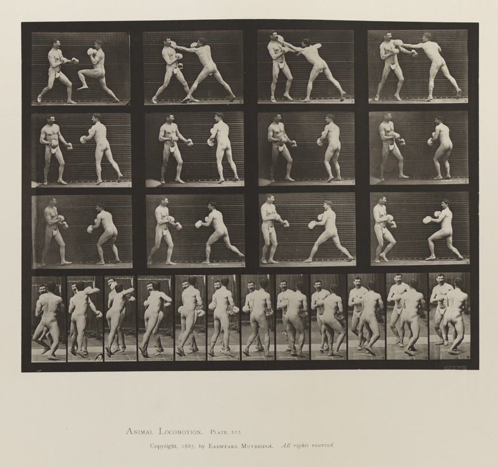 Animal Locomotion, Volume V, Men (Pelvis Cloth). Plate 335