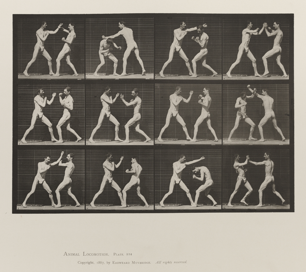 Animal Locomotion, Volume V, Men (Pelvis Cloth). Plate 336