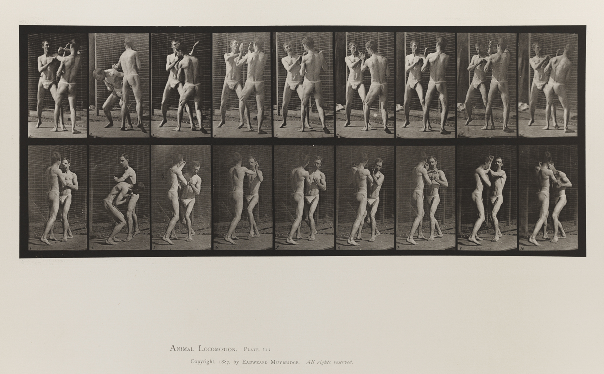Animal Locomotion, Volume V, Men (Pelvis Cloth). Plate 337