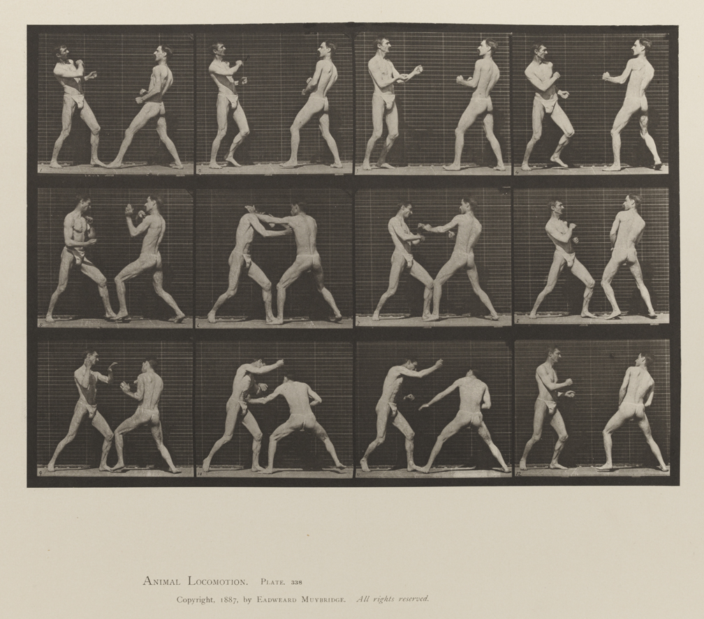Animal Locomotion, Volume V, Men (Pelvis Cloth). Plate 338