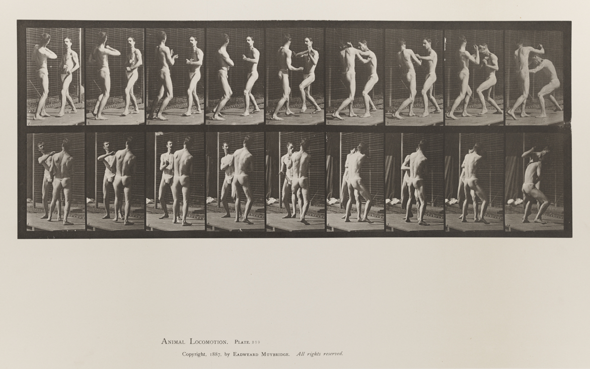 Animal Locomotion, Volume V, Men (Pelvis Cloth). Plate 339