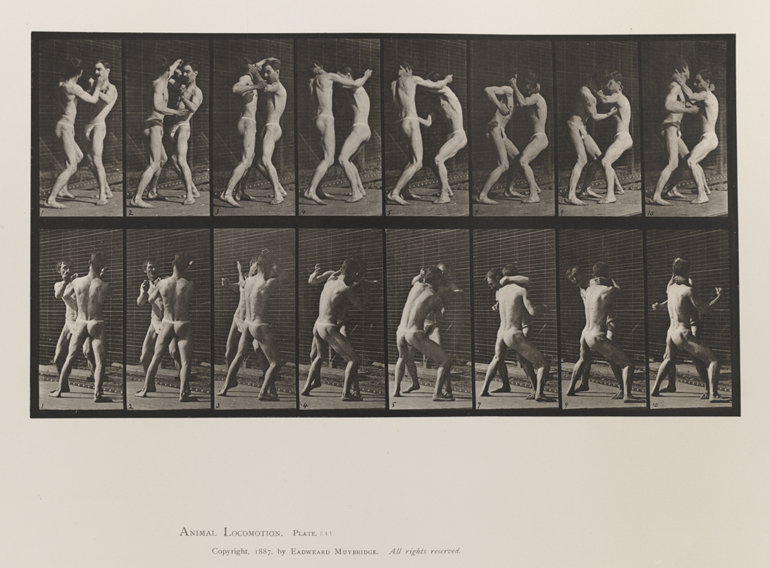 Animal Locomotion, Volume V, Men (Pelvis Cloth). Plate 341