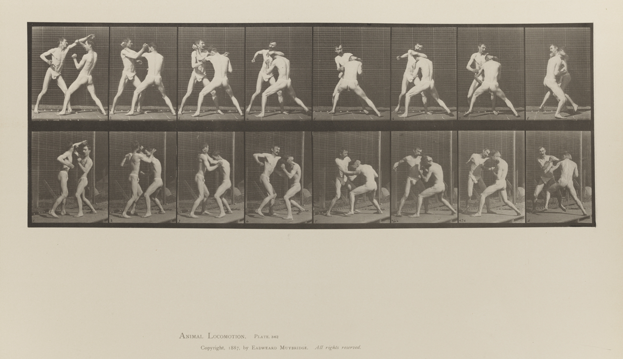 Animal Locomotion, Volume V, Men (Pelvis Cloth). Plate 342