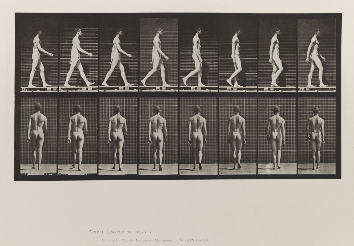 Animal Locomotion, Volume V, Men (Pelvis Cloth). Plate 8