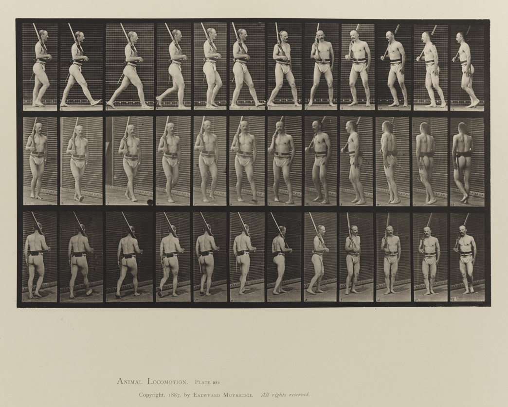 Animal Locomotion, Volume V, Men (Pelvis Cloth). Plate 355