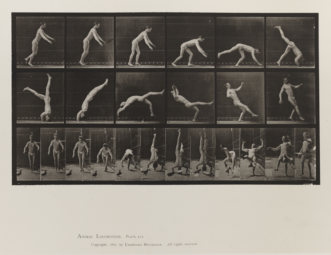 Animal Locomotion, Volume V, Men (Pelvis Cloth). Plate 365