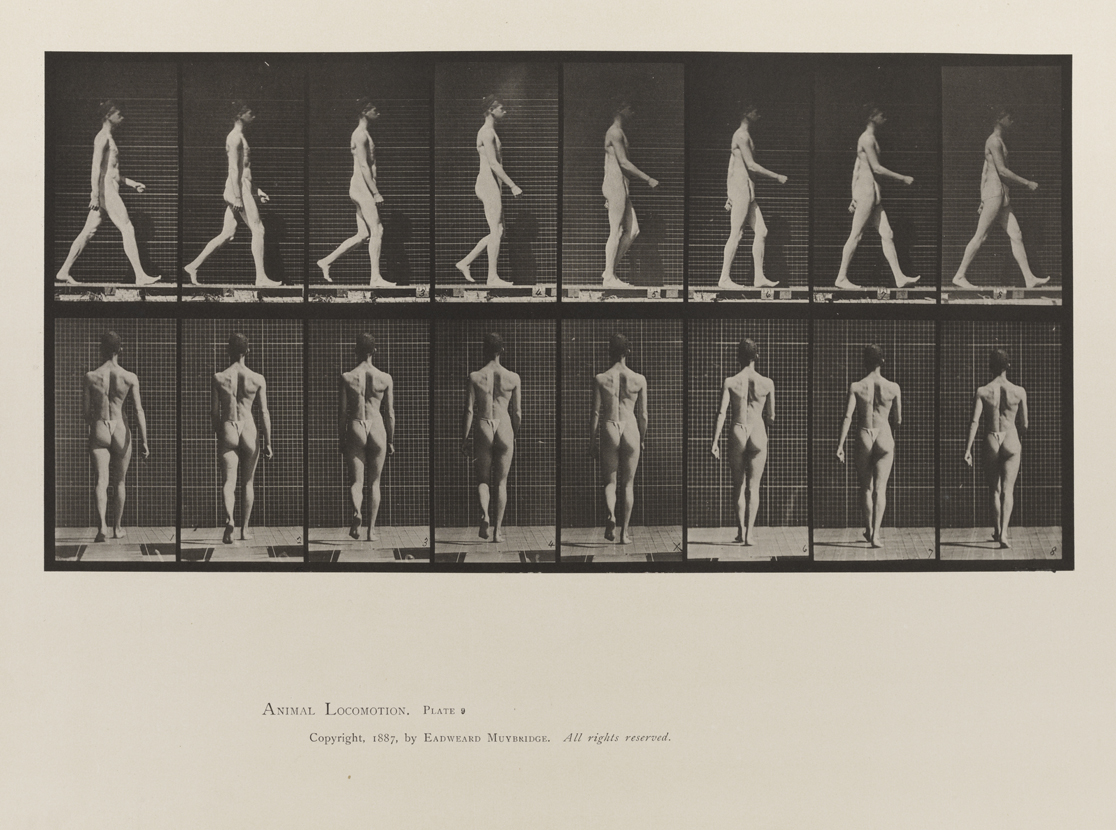 Animal Locomotion, Volume V, Men (Pelvis Cloth). Plate 9