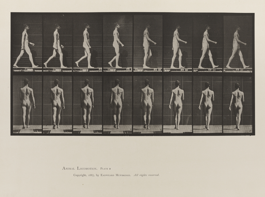 Animal Locomotion, Volume V, Men (Pelvis Cloth). Plate 9