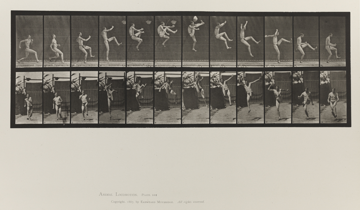 Animal Locomotion, Volume V, Men (Pelvis Cloth). Plate 366