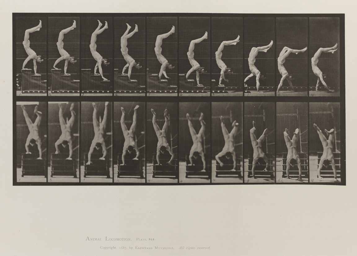 Animal Locomotion, Volume V, Men (Pelvis Cloth). Plate 368