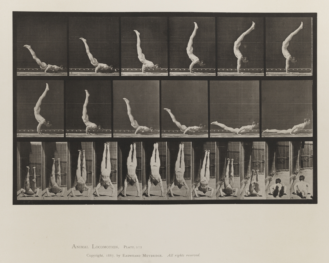 Animal Locomotion, Volume V, Men (Pelvis Cloth). Plate 372