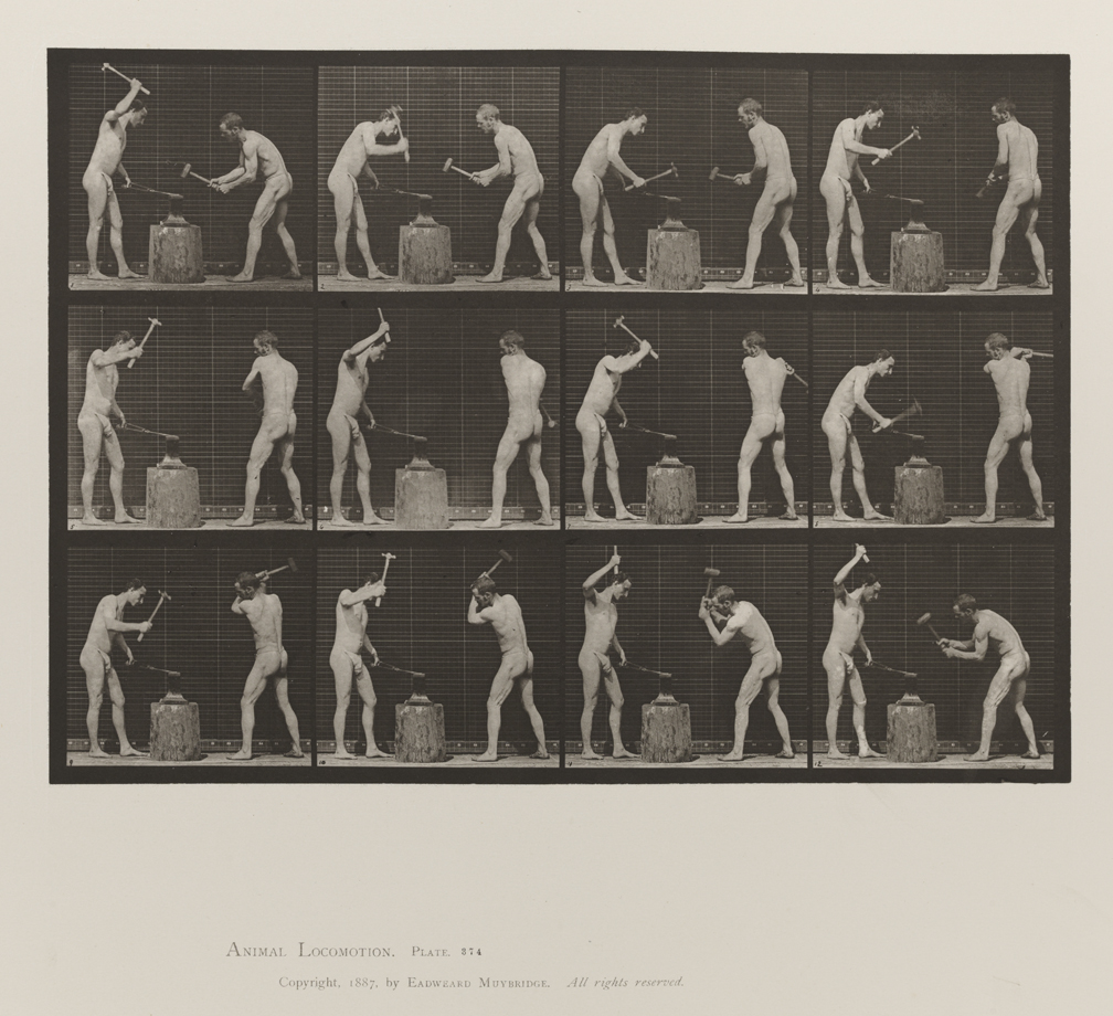 Animal Locomotion, Volume V, Men (Pelvis Cloth). Plate 374