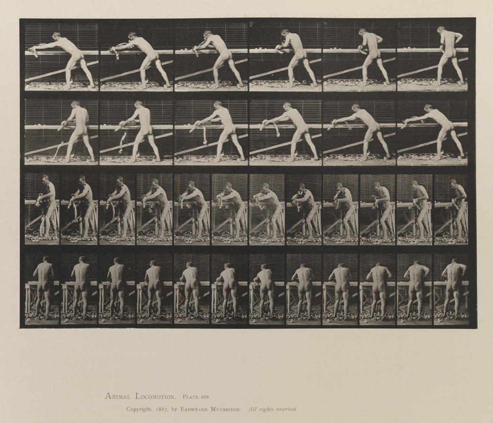 Animal Locomotion, Volume V, Men (Pelvis Cloth). Plate 379