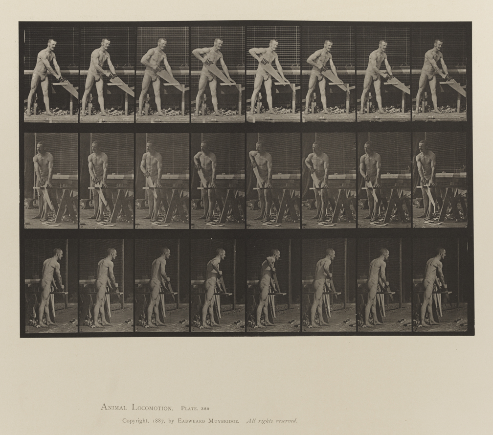 Animal Locomotion, Volume V, Men (Pelvis Cloth). Plate 380