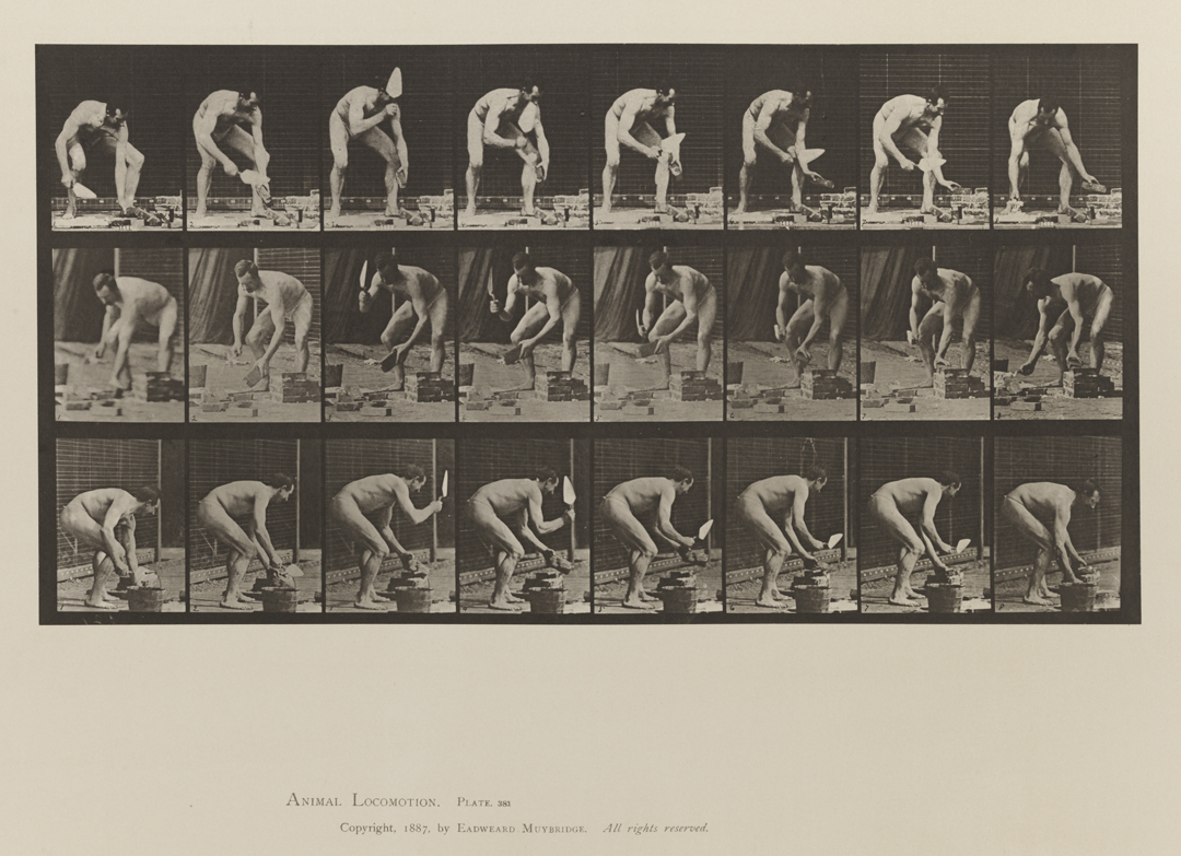 Animal Locomotion, Volume V, Men (Pelvis Cloth). Plate 381