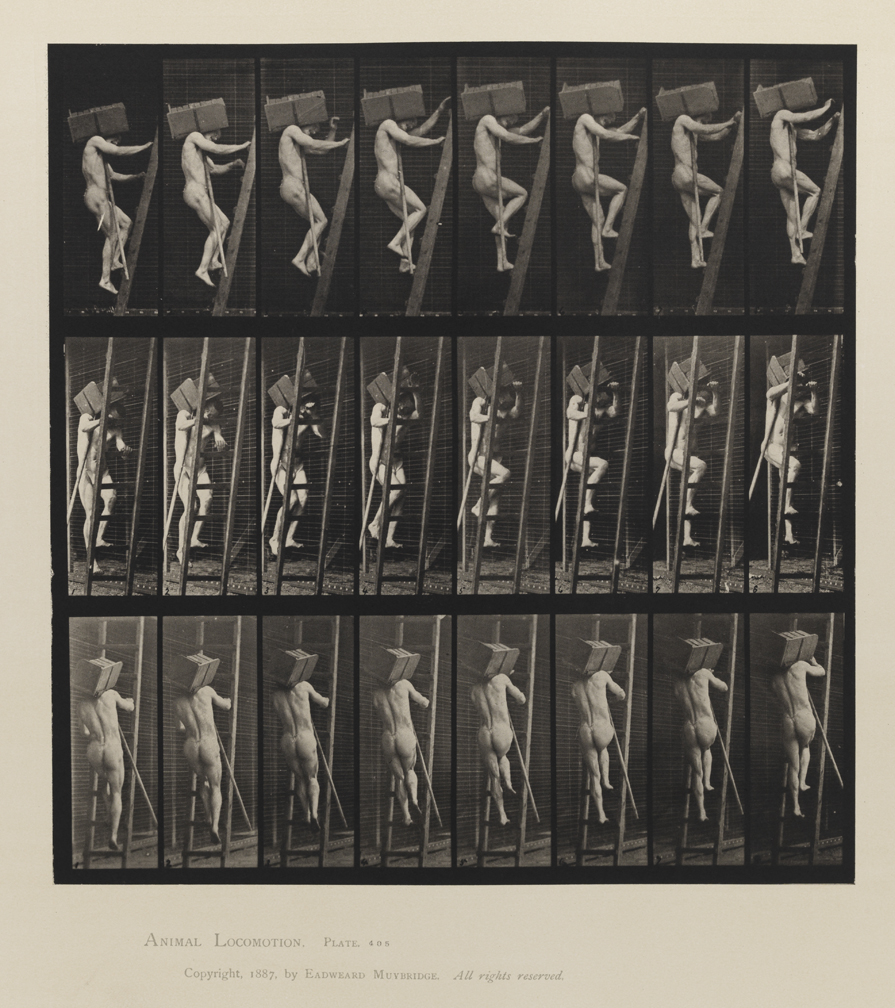 Animal Locomotion, Volume V, Men (Pelvis Cloth). Plate 405