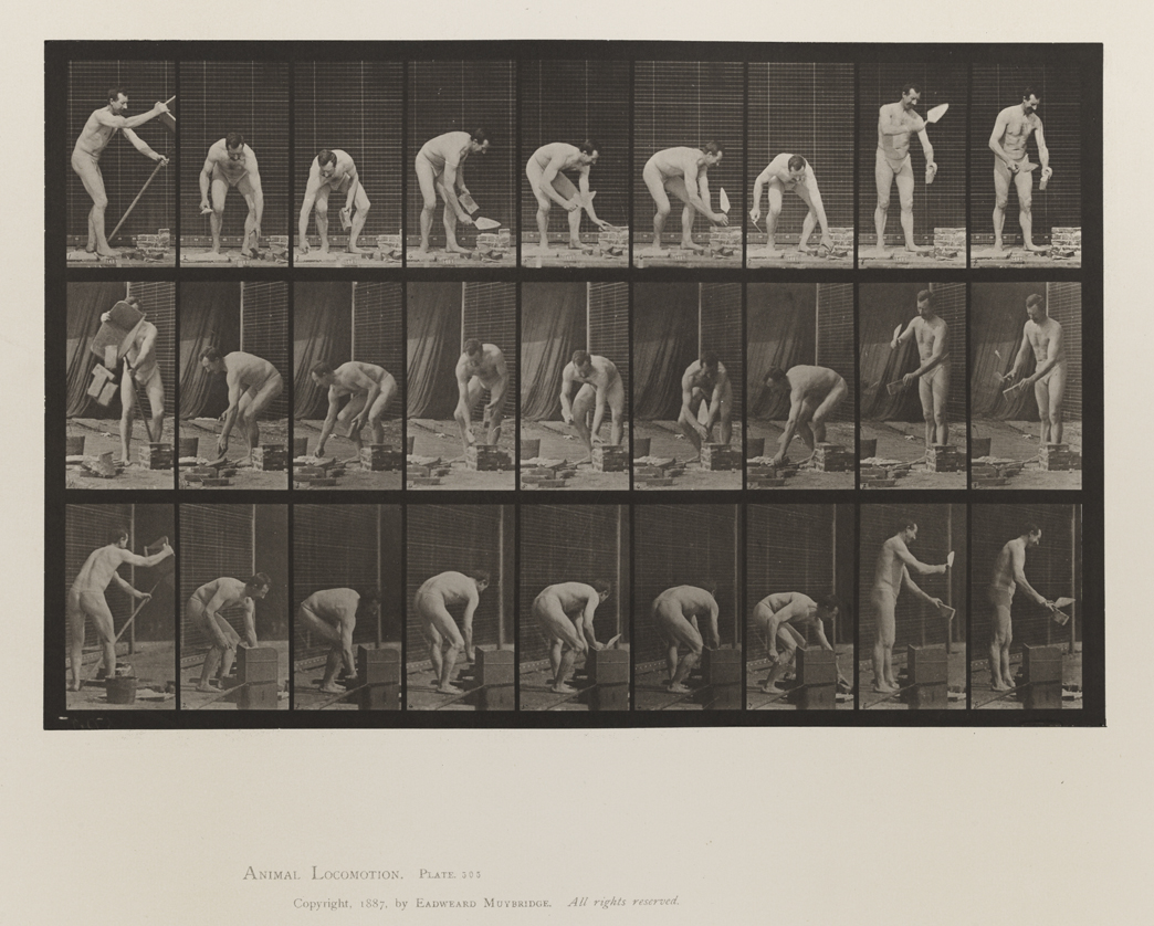 Animal Locomotion, Volume V, Men (Pelvis Cloth). Plate 505