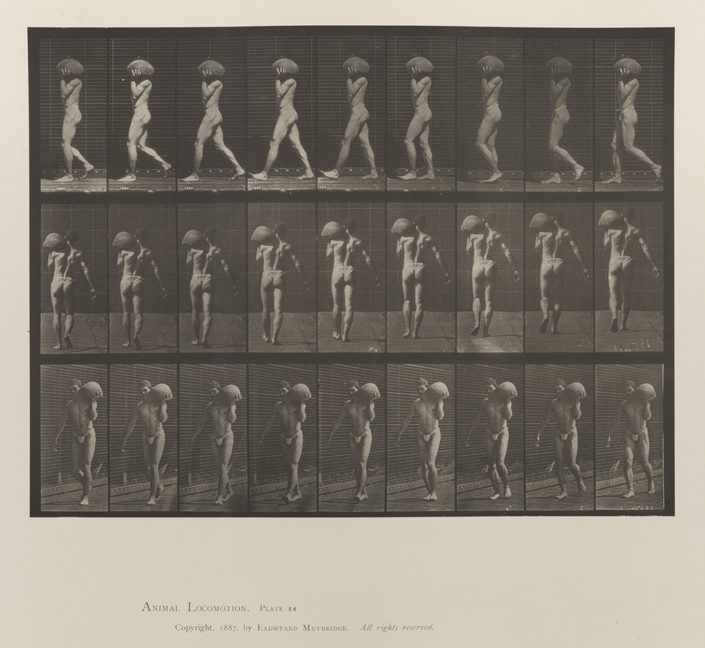Animal Locomotion, Volume V, Men (Pelvis Cloth). Plate 26