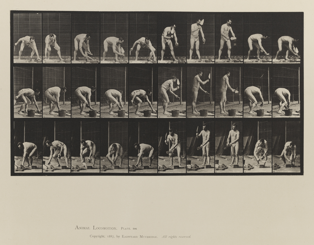 Animal Locomotion, Volume V, Men (Pelvis Cloth). Plate 506