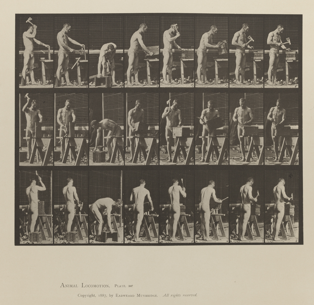 Animal Locomotion, Volume V, Men (Pelvis Cloth). Plate 507