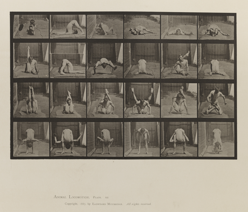 Animal Locomotion, Volume V, Men (Pelvis Cloth). Plate 511