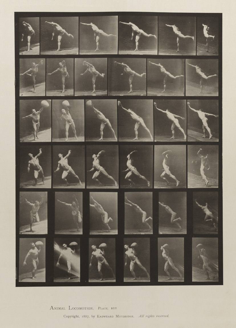 Animal Locomotion, Volume V, Men (Pelvis Cloth). Plate 523