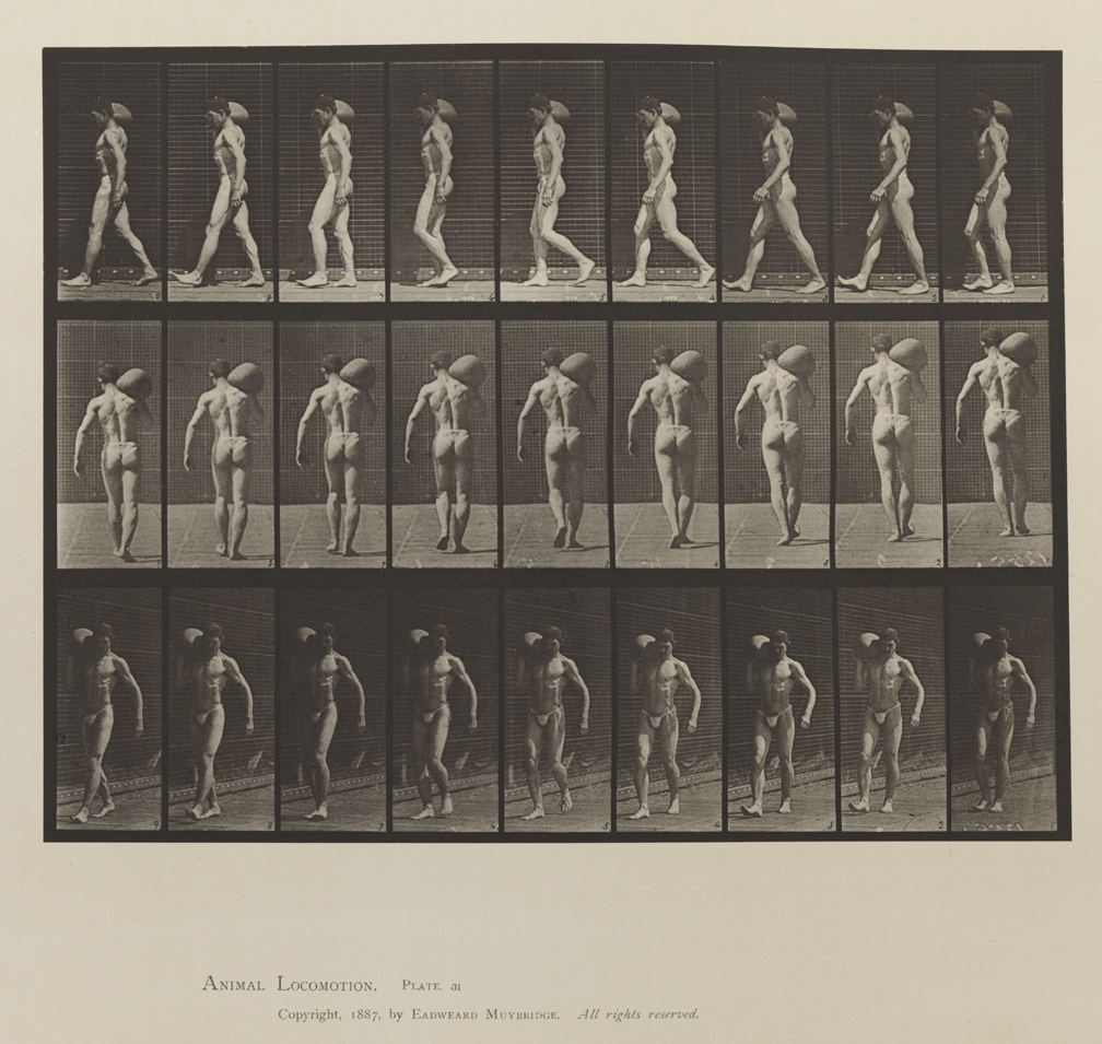 Animal Locomotion, Volume V, Men (Pelvis Cloth). Plate 31