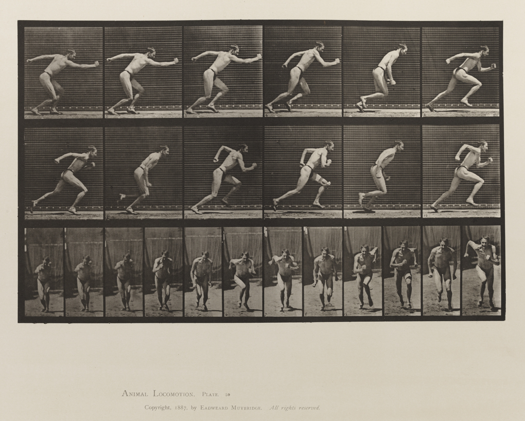 Animal Locomotion, Volume V, Men (Pelvis Cloth). Plate 53