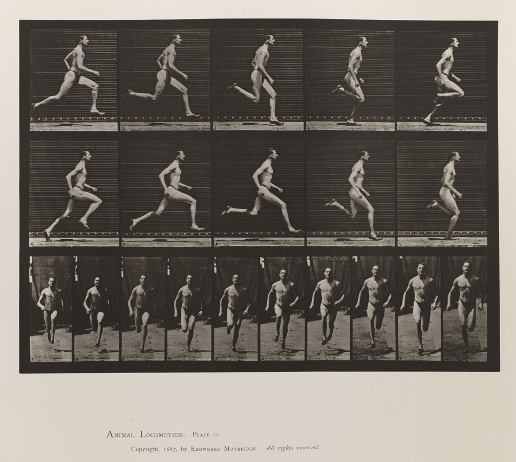 Animal Locomotion, Volume V, Men (Pelvis Cloth). Plate 60