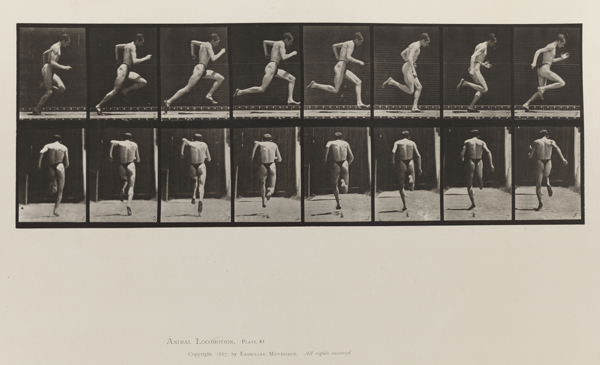 Animal Locomotion, Volume V, Men (Pelvis Cloth). Plate 61