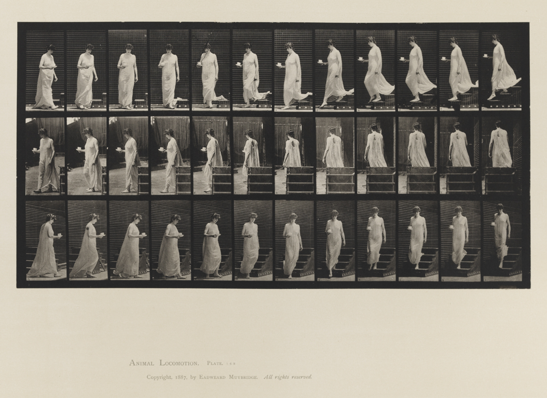 Animal Locomotion, Volume VI, Women (Semi-Nude and Transparent Drapery) and Children. Plate 143