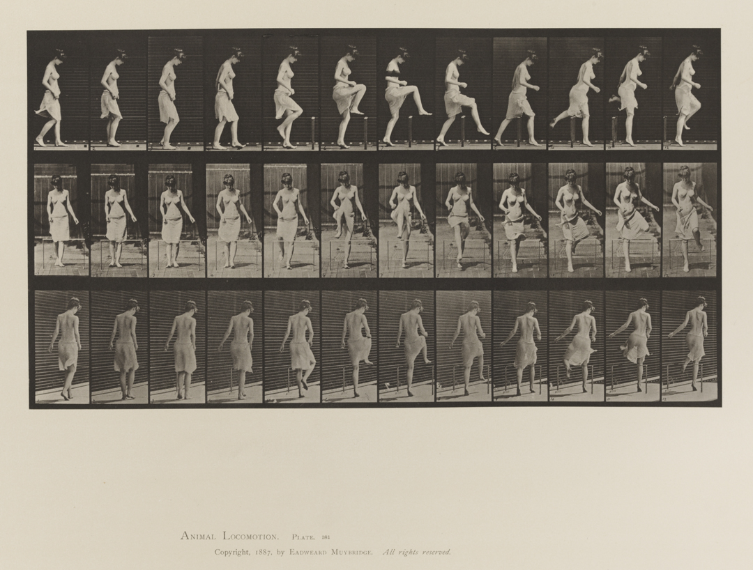 Animal Locomotion, Volume VI, Women (Semi-Nude and Transparent Drapery) and Children. Plate 181