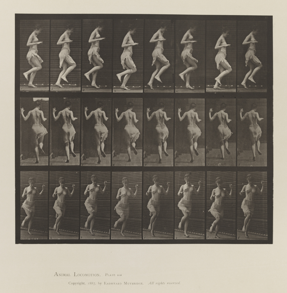 Animal Locomotion, Volume VI, Women (Semi-Nude and Transparent Drapery) and Children. Plate 185