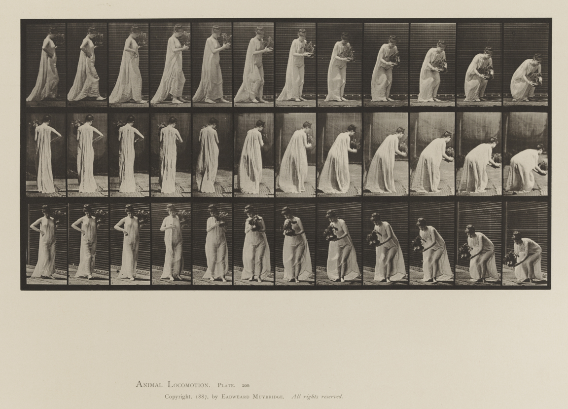 Animal Locomotion, Volume VI, Women (Semi-Nude and Transparent Drapery) and Children. Plate 205
