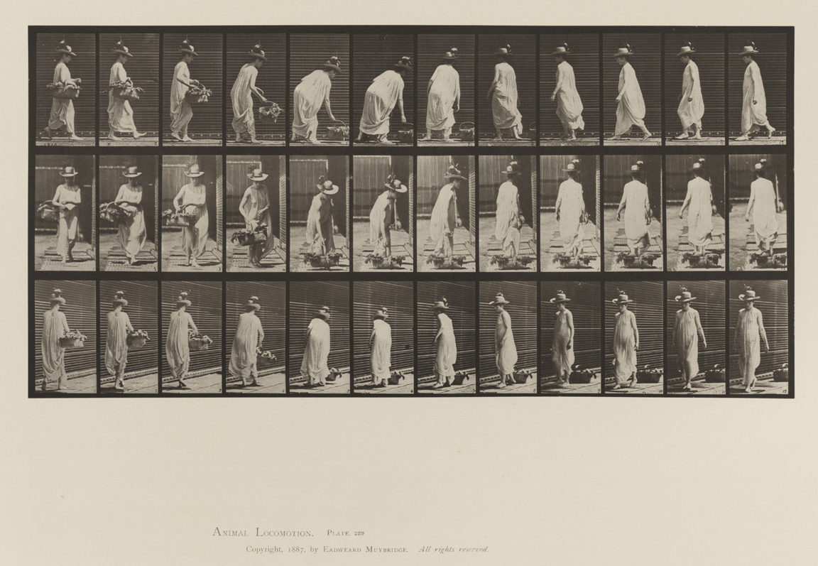 Animal Locomotion, Volume VI, Women (Semi-Nude and Transparent Drapery) and Children. Plate 229