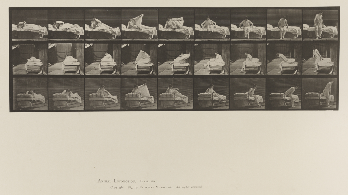 Animal Locomotion, Volume VI, Women (Semi-Nude and Transparent Drapery) and Children. Plate 265