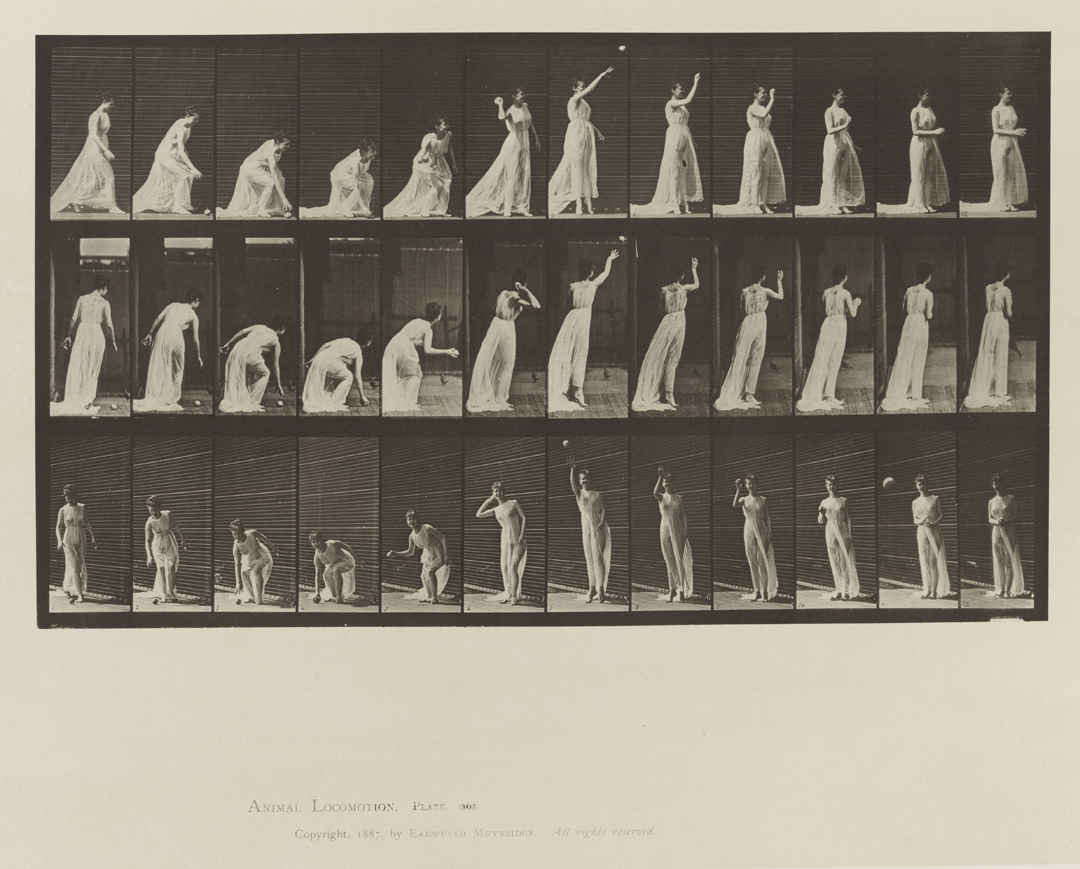 Animal Locomotion, Volume VI, Women (Semi-Nude and Transparent Drapery) and Children. Plate 305