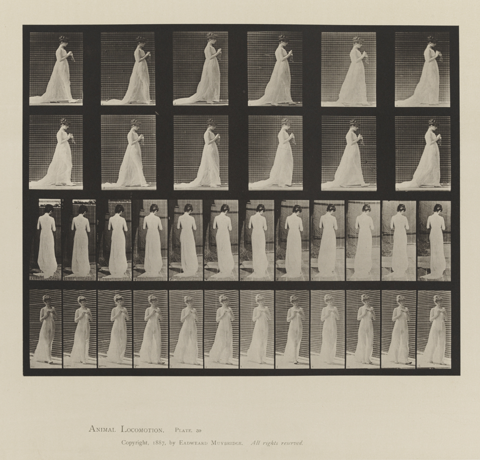 Animal Locomotion, Volume VI, Women (Semi-Nude and Transparent Drapery) and Children. Plate 39