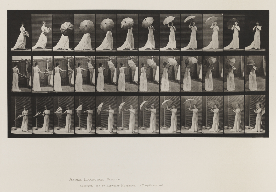 Animal Locomotion, Volume VI, Women (Semi-Nude and Transparent Drapery) and Children. Plate 461